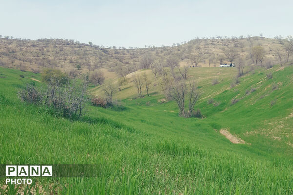 طبیعت دِراز‌رود؛ زیباترین تابلوی سبز لردگان
