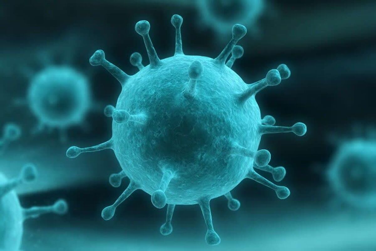 تعطیلی مدارس، گام‌به‌گام کاهش شیوع آنفولانزا در آذربایجان‌شرقی بود