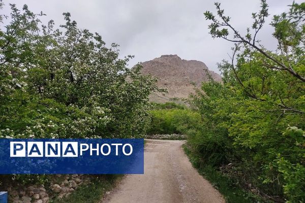 شهر زیبای بار، بهشت نیشابور