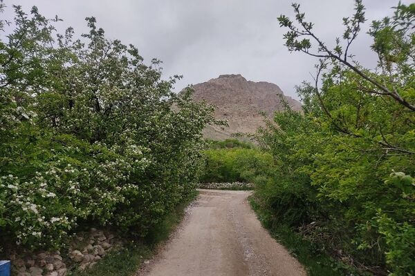 شهر زیبای بار، بهشت نیشابور