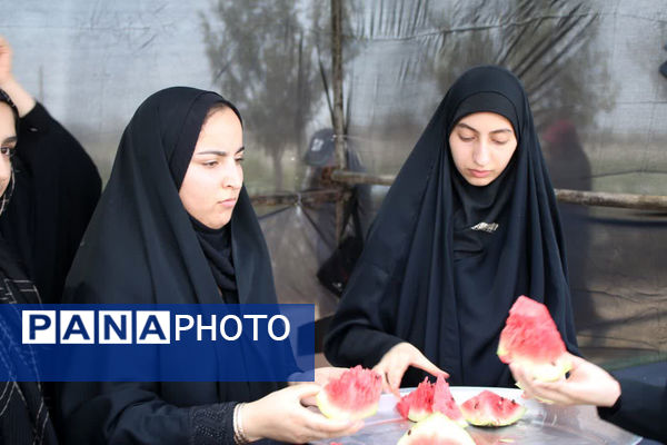 جلوه‌های زیبای انس و همدلی در خدمت به ارادتمندان سیدالشهدا(ع)