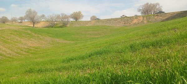 طبیعت سر سبز رفن به هنگام بهار