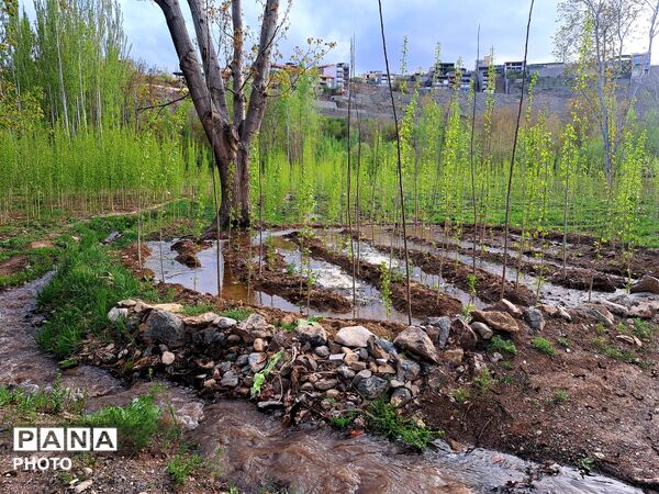 زاینده‌رود نفس سبز بهار
