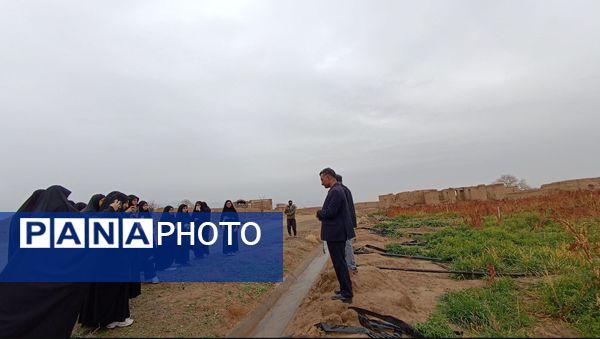 اردو راهیان پیشرفت در خلیل آباد