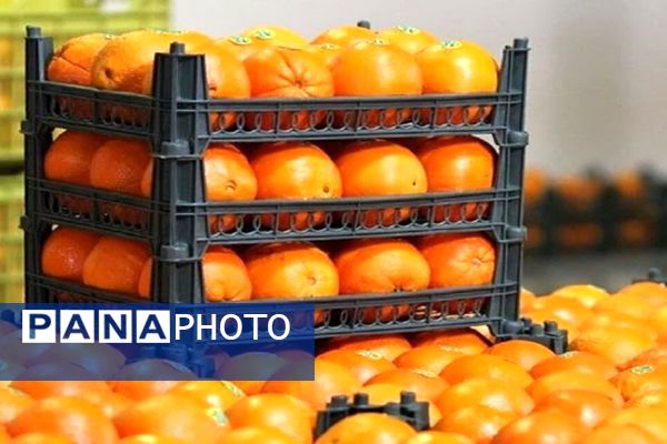 حال‌و هوای مردم شیراز در آستانه سال نو