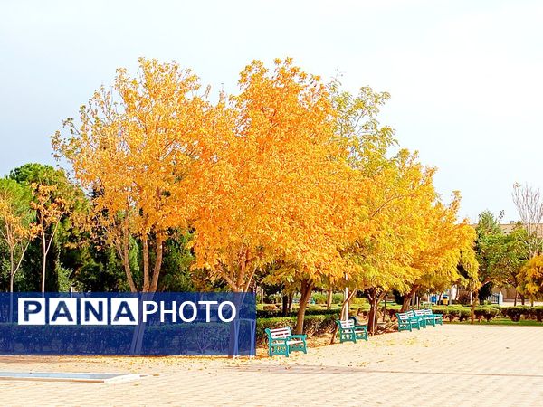 کاشمر در برگریزان پاییز