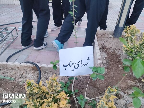 دانشگاه فرهنگیان امیرکبیر کرج میزبان رقابت‌های ورزش دانش‌آموزی  پسران قطب 2 کشوری 