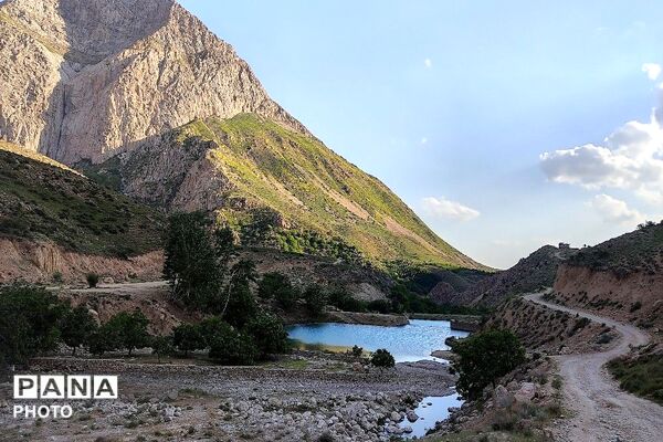 کوه های شهر بار ذخیره‌گاه گیاهان ارزشمند و کم نظیر دارویی 