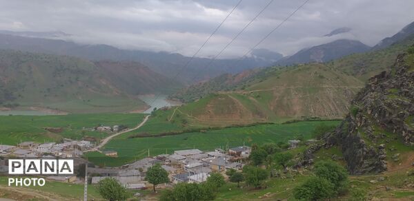 طبیعت بکر شوارز در روز بارانی 