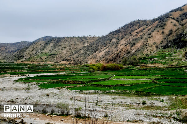 طبیعت روستای بیدله به هنگام بهار
