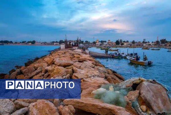 جلوه‌ای از زیبایی اسکله بندر چارک