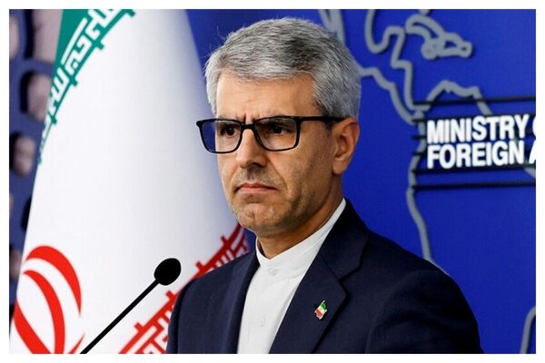 بقائی: فردوسی با آفرینش شاهنامه میراث نیاکان را از فراموشی دور کرد