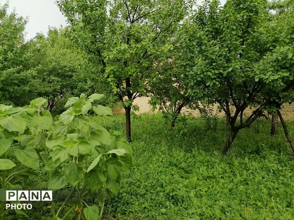 بارش شدید باران در اواخر خرداد ماه در شهر بار 