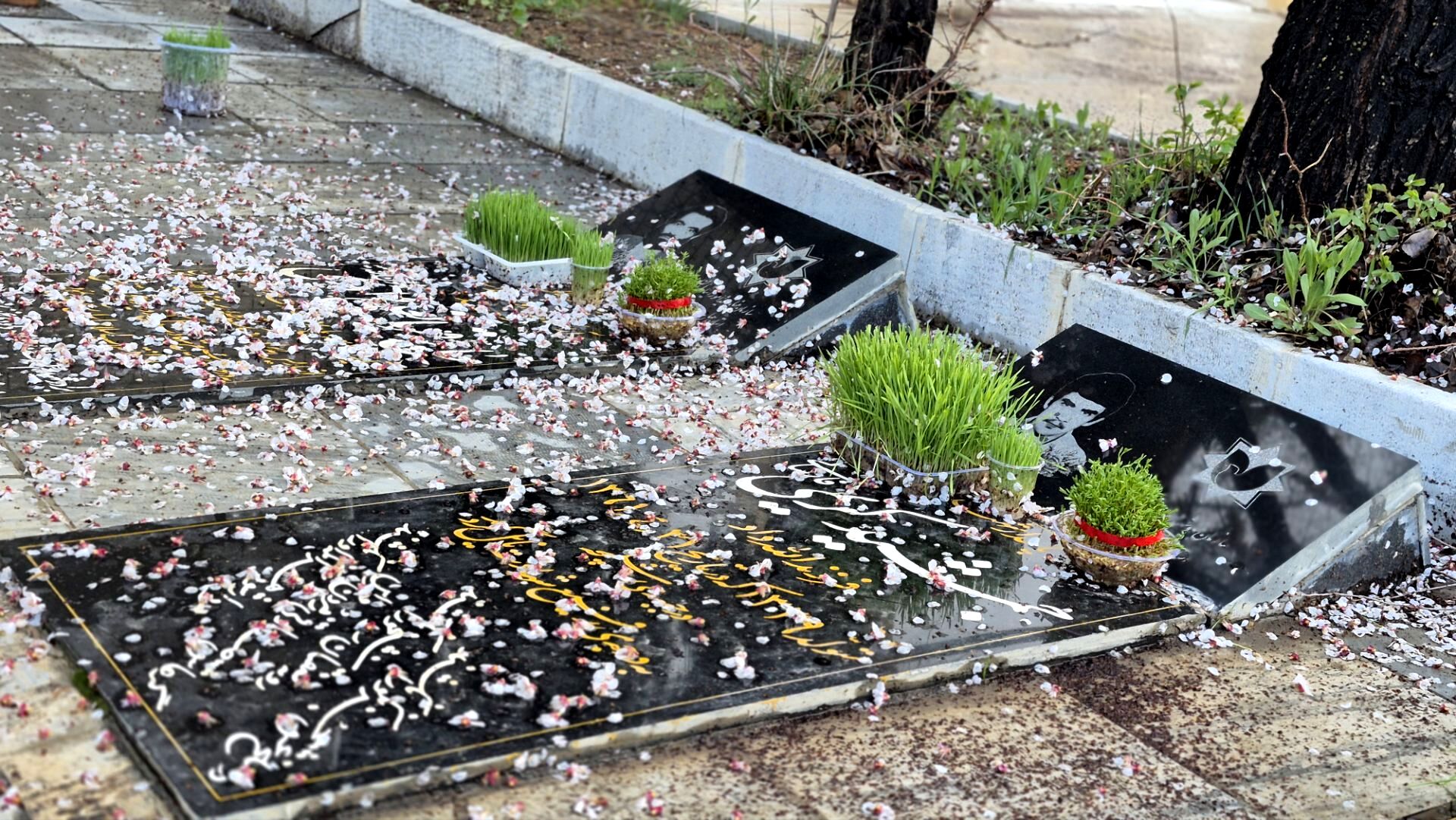 گلزار شهدا آذین‌بسته و معطر از یاد قهرمانان