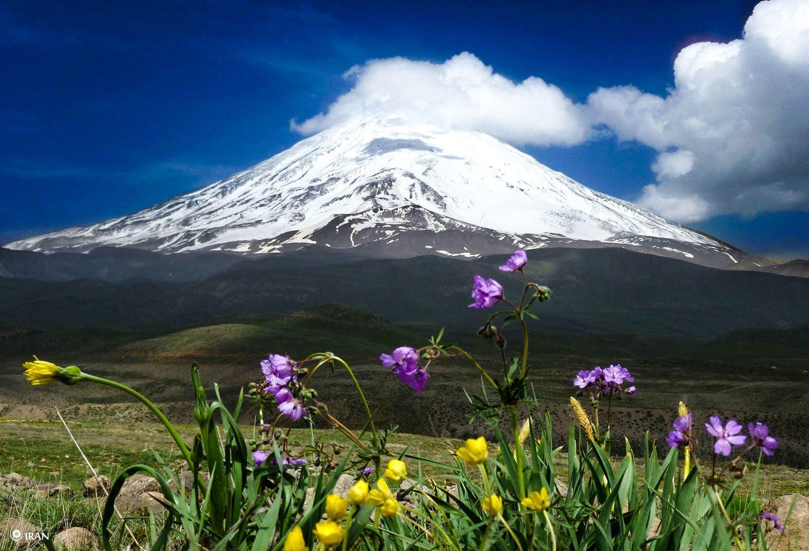 روزی برای تازه شدن