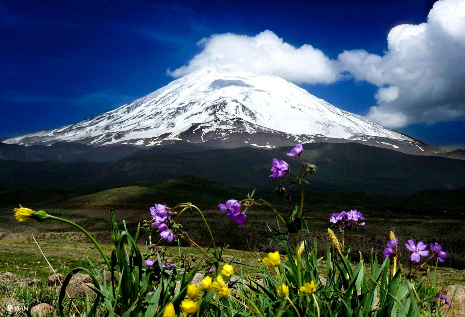 روزی برای تازه شدن