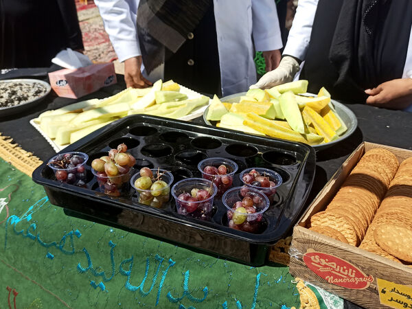 قاب‌هایی از خدمت به زائران راه بهشت