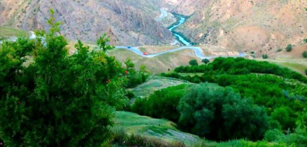 جاذبه‌های گردشگری روستای دوازده‌ امام 
