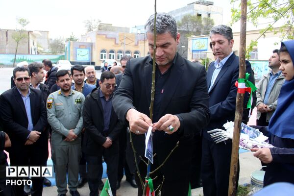 کاشت نهال همزمان با چهلمین روز شهادت فرشتگان میناب 