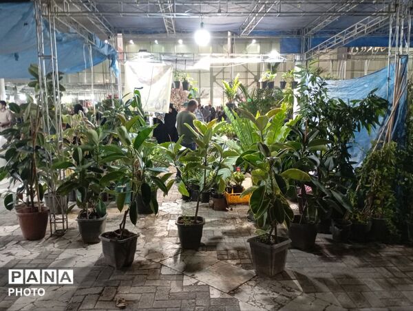 نمایشگاه گل و گیاه مشهد فرصتی برای دیدن زیبایی‌های طبیعت و خرید
