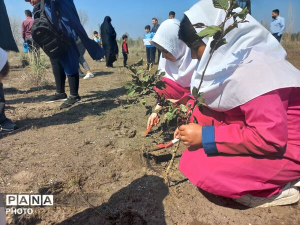 ادای احترام به دانش‌آموزان شهید میناب با کاشت نهال در رودسر