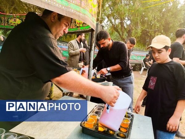 پیاده‌روی جاماندگان اربعین در میاندورود 