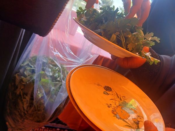 همکاری دانش آموزان خادمیار دبستان ضحی۲ با چایخانه دانش آموزی حضرت رضا(ع) شیروان