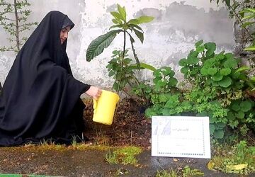 سبزترین یادبود برای شهدا