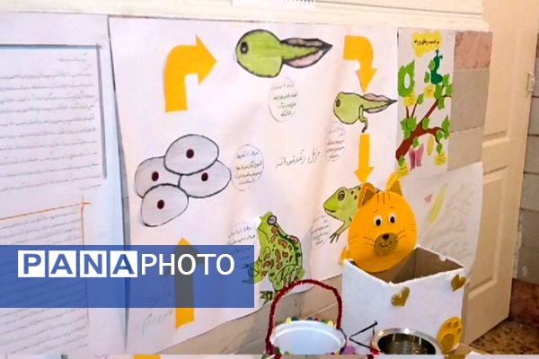 نمایشگاه جابربن حیان در مدارس رباط‌کریم