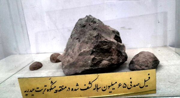 بازدید خبرنگاران پانا جلگه رخ از مجموعه گردشگری قطب الدین حیدر و رباط طبسی 