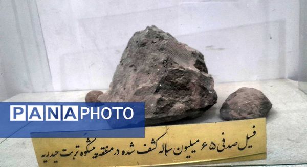 بازدید خبرنگاران پانا جلگه رخ از مجموعه گردشگری قطب الدین حیدر و رباط طبسی 