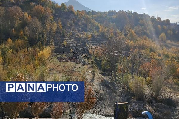 فصل زیبای پاییز در شهر بار نیشابور 