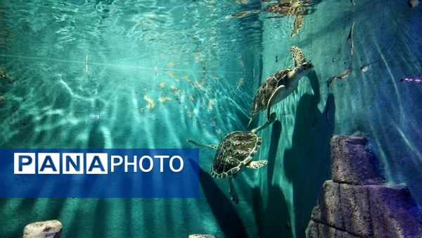 اردوی علمی تفریحی خبرنگاران پانای استان اصفهان