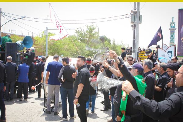 برگزاری مراسم ملی وداع نخل‌های روستاهای علوی و خاوه اردهال