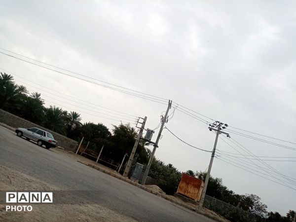 جوانان و مردم، پرچم عزا را در جای جای باغ شهر برافراشتند