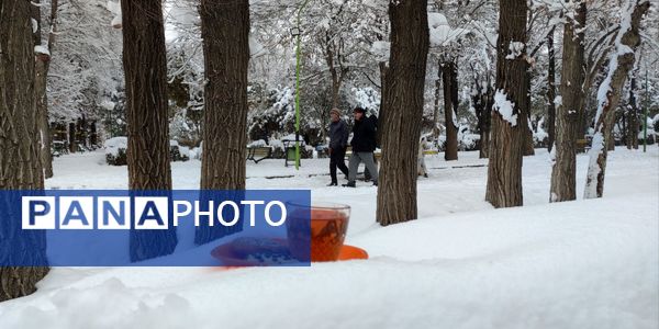 سکوت برفی بروجن، قلب شهر را به تپش انداخت