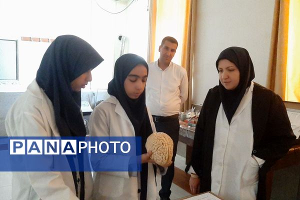 جشنواره خوارزمی فرصتی برای کشف استعدادهای دانش‌آموزان 