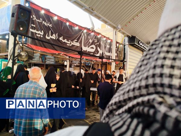 میلیون‌ها گام عاشقی؛ روایت حماسه اربعین حسینی از نجف تا کربلا