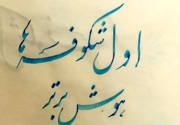 جشن شکوفه‌های آموزشگاه در سفیددشت 