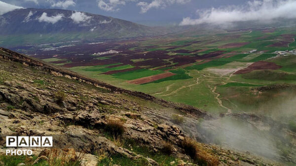 نگین سبز زاگرس 