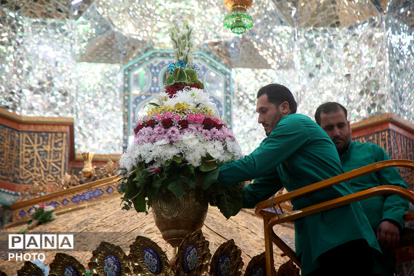 گل آرایی ضریح مطهر حضرت معصومه(س) در شب میلاد امام رضا(ع)