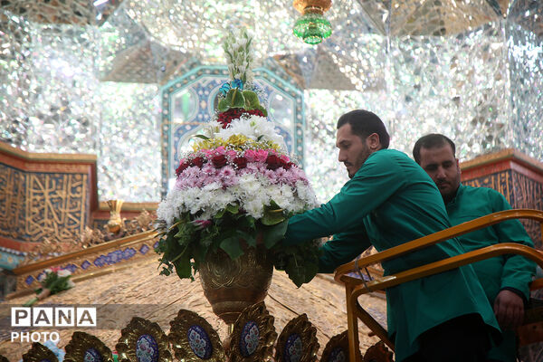 گل آرایی ضریح مطهر حضرت معصومه(س) در شب میلاد امام رضا(ع)