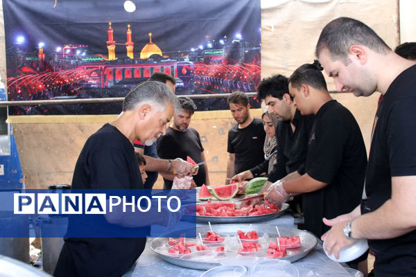 جلوه‌های زیبای انس و همدلی در خدمت به ارادتمندان سیدالشهدا(ع)