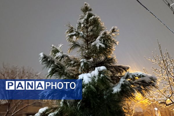 رحمت الهی برف بهاری بر دیار سلسله الذهب