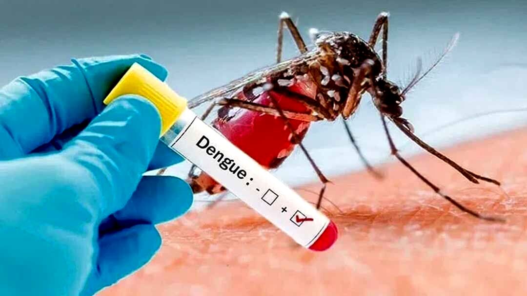 روش‌های پیشگیری از ابتلا به تب دنگی چیست؟