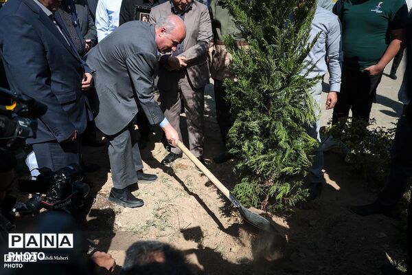 پویش «درخت‌‎کاری سرو ایران»