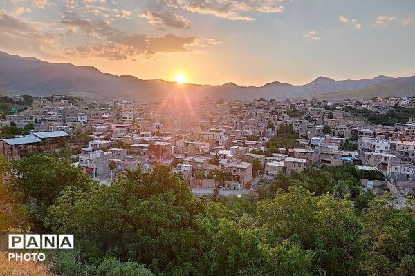 فصل چیدن یاقوت های چشم نواز در شهر بار نیشابور-۲ 