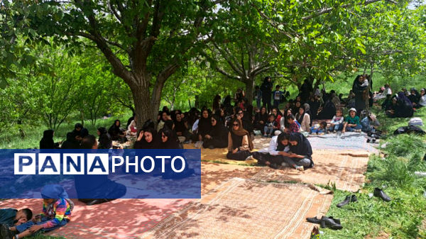 تقدیر از معلمان نمونه مناطق عشایری