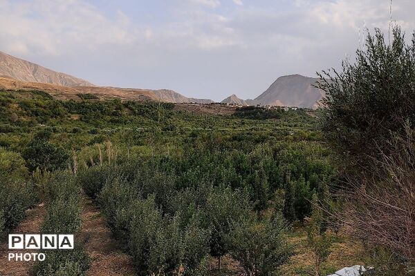 بارش غیر منتظره باران در تابستان ۱۴۰۵شهر بار نیشابور