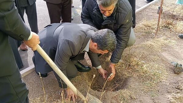 مراسم درخت‌کاری در زنجان